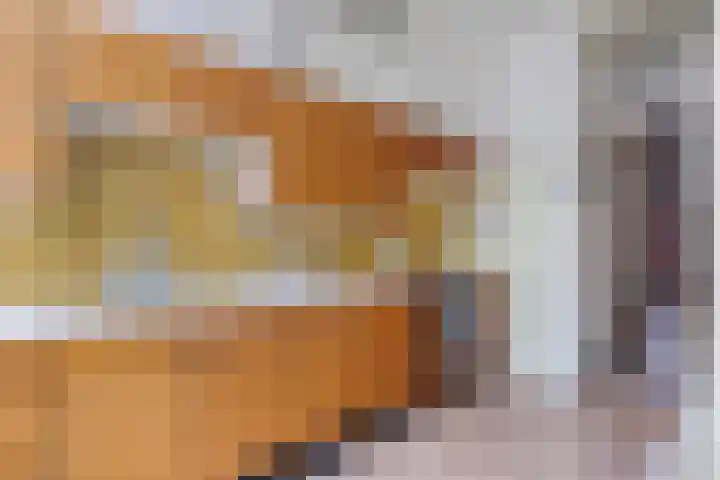 Laan van Eik en Duinen 211 Den Haag thumbnail 7