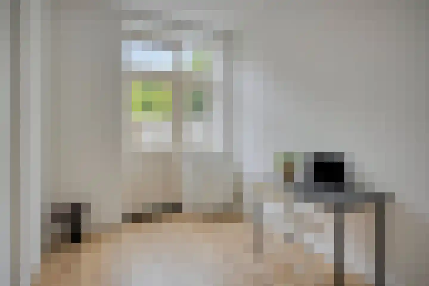Laan van Eik en Duinen 234 Den Haag thumbnail 15