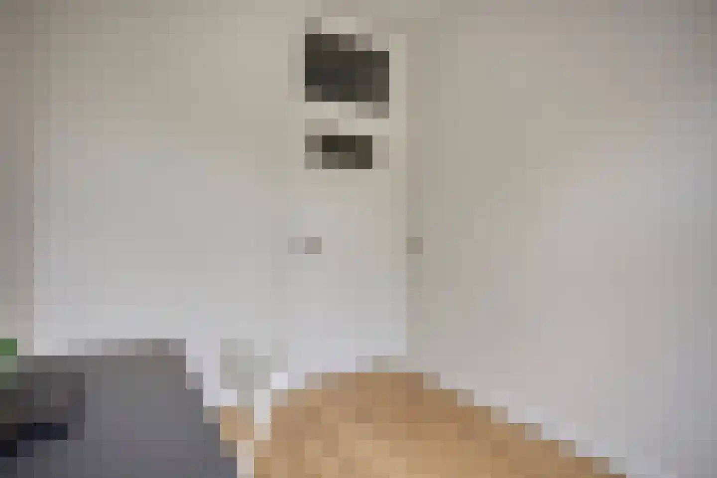 Laan van Eik en Duinen 234 Den Haag thumbnail 16