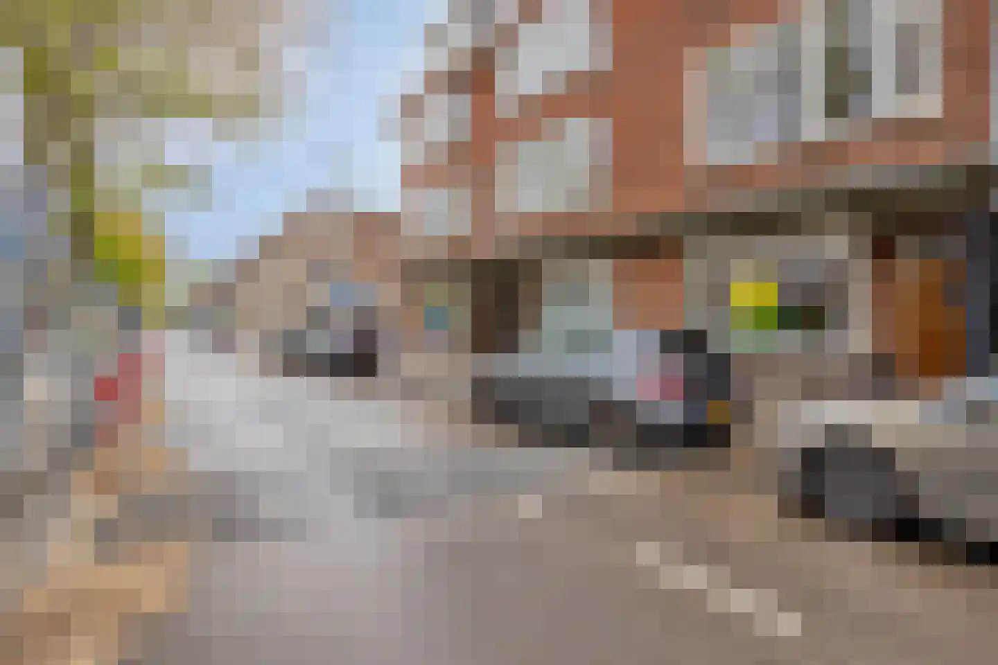 Laan van Eik en Duinen 234 Den Haag thumbnail 5