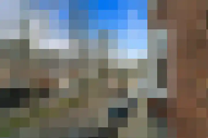 Laan van Eik en Duinen 236 Den Haag thumbnail 10