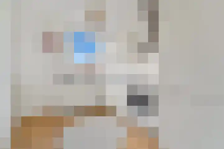 Laan van Eik en Duinen 236 Den Haag thumbnail 12