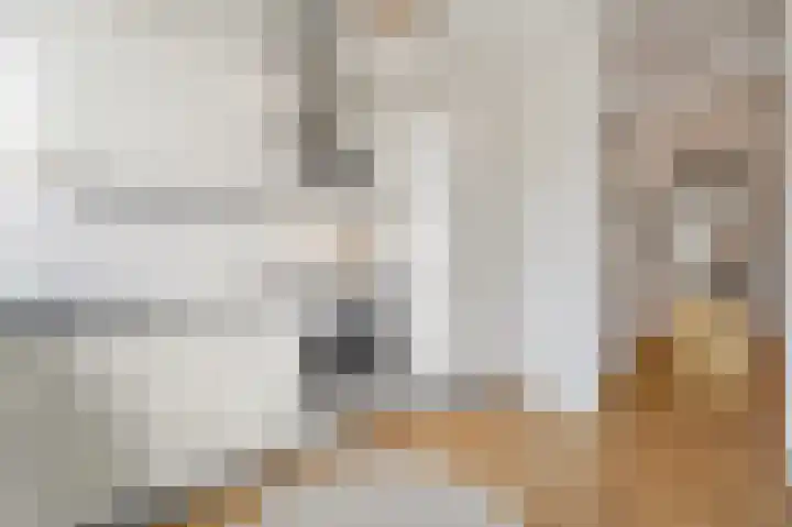 Laan van Eik en Duinen 236 Den Haag thumbnail 13