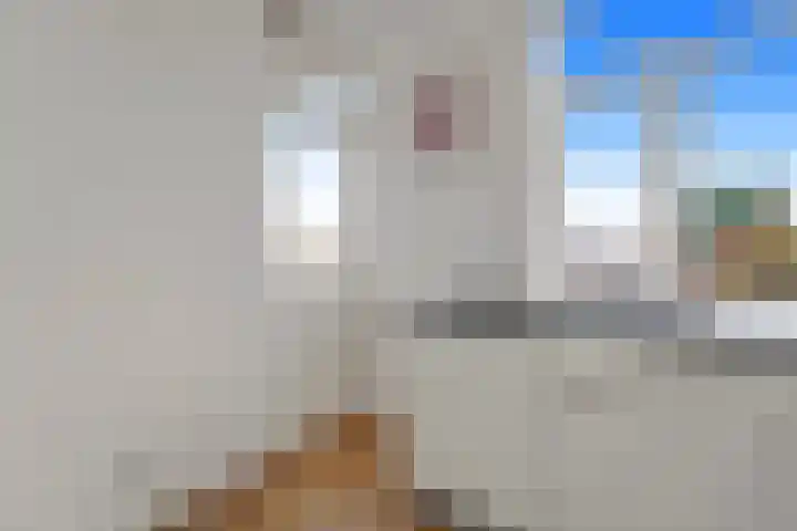 Laan van Eik en Duinen 236 Den Haag thumbnail 14
