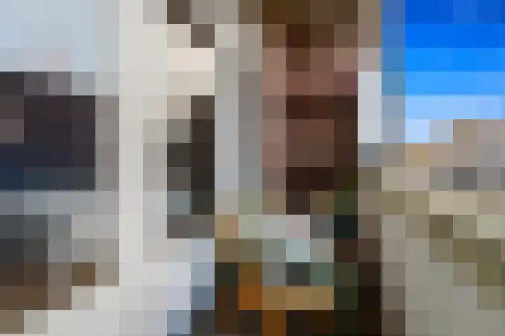 Laan van Eik en Duinen 236 Den Haag thumbnail 15