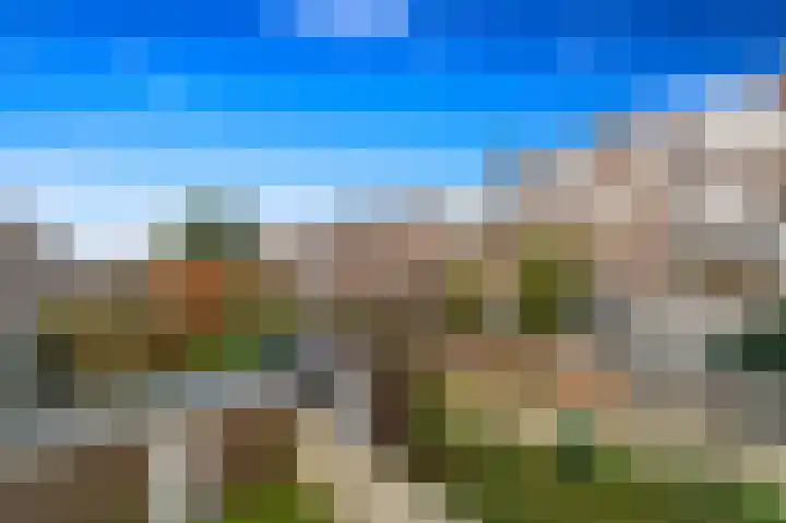 Laan van Eik en Duinen 236 Den Haag thumbnail 18