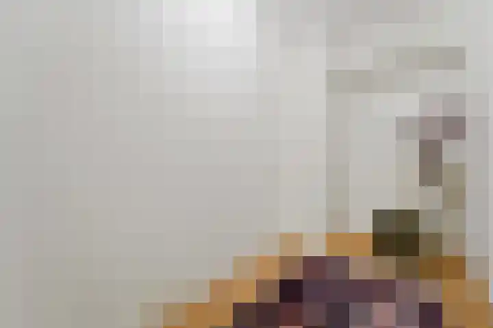 Laan van Eik en Duinen 236 Den Haag thumbnail 20