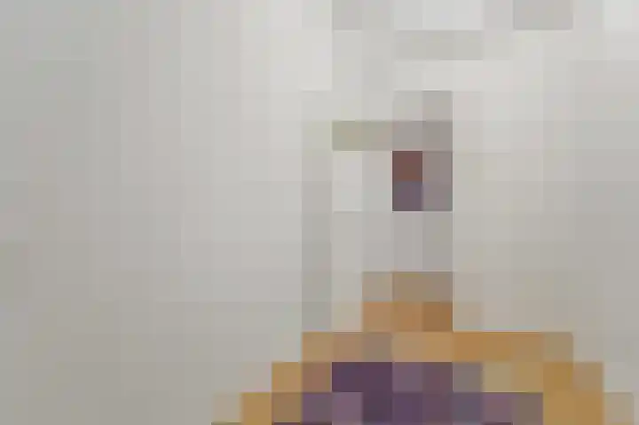 Laan van Eik en Duinen 236 Den Haag thumbnail 21
