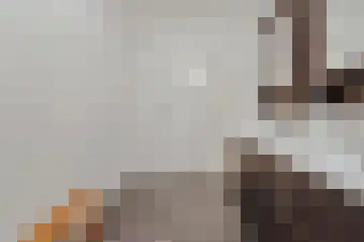 Laan van Eik en Duinen 236 Den Haag thumbnail 24