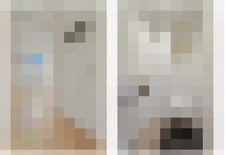 Laan van Eik en Duinen 236 Den Haag thumbnail 25