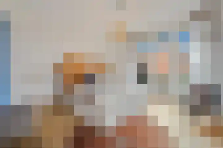 Laan van Eik en Duinen 236 Den Haag thumbnail 26