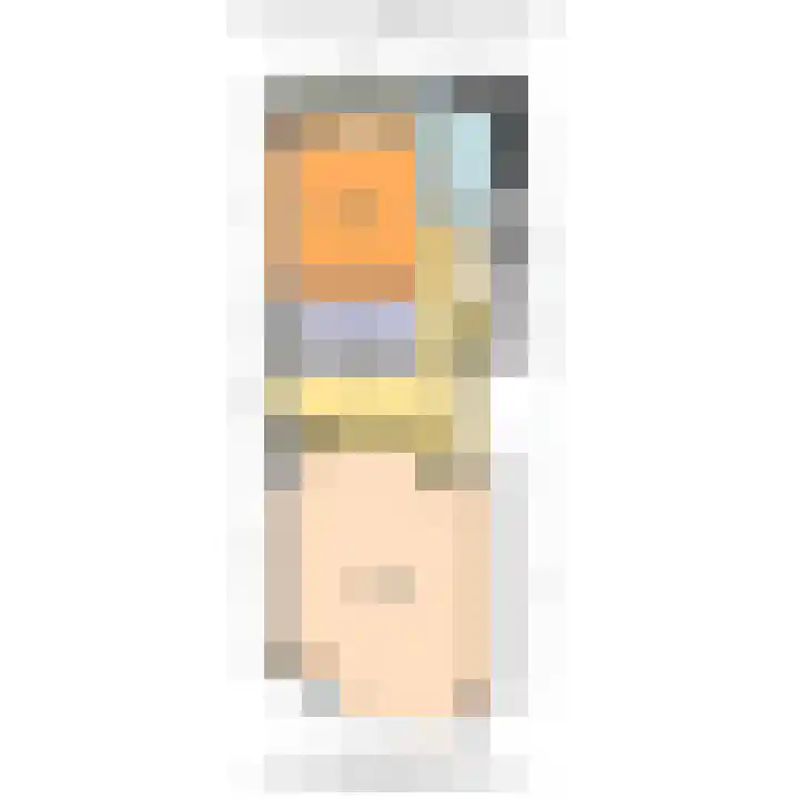Laan van Eik en Duinen 236 Den Haag thumbnail 28