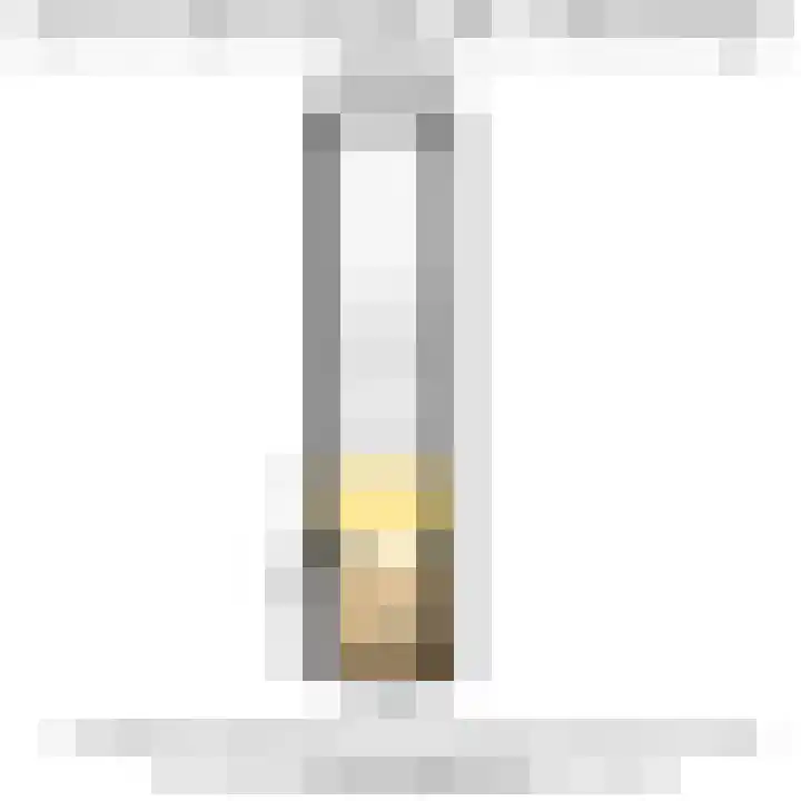 Laan van Eik en Duinen 236 Den Haag thumbnail 29
