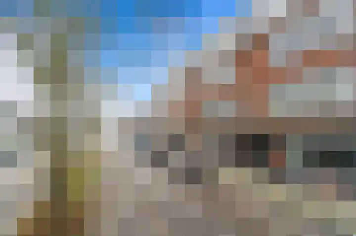 Laan van Eik en Duinen 236 Den Haag thumbnail 33