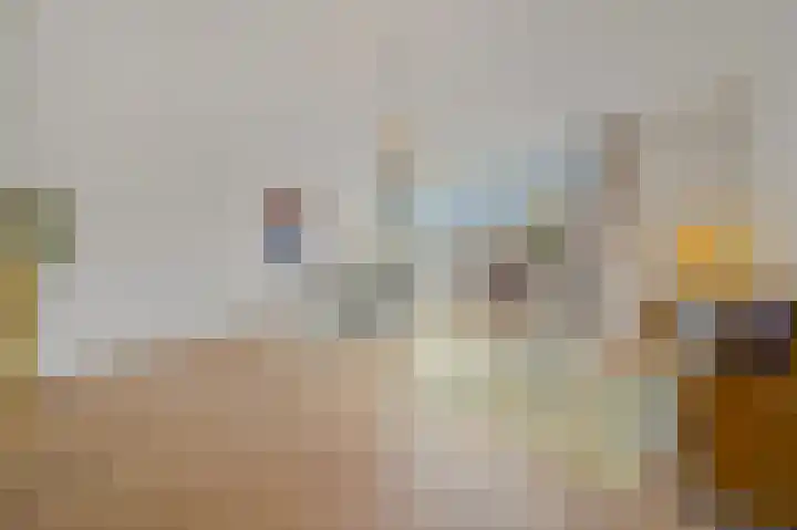 Laan van Eik en Duinen 236 Den Haag thumbnail 5
