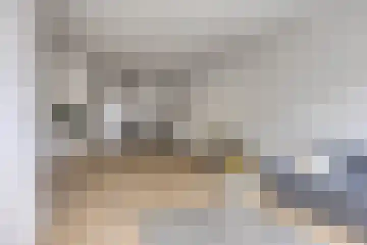 Laan van Eik en Duinen 244 Den Haag thumbnail 10