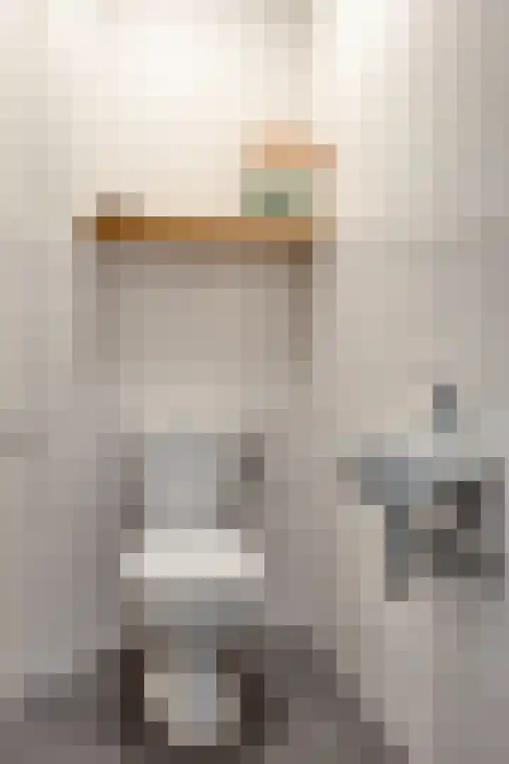 Laan van Eik en Duinen 244 Den Haag thumbnail 16