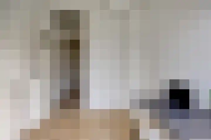 Laan van Eik en Duinen 244 Den Haag thumbnail 23