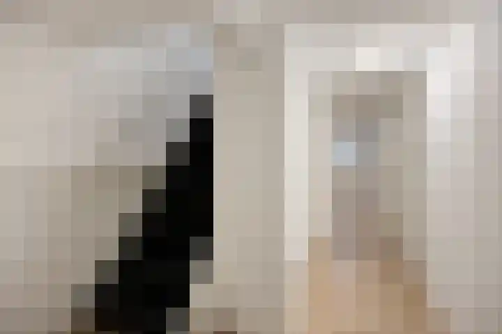 Laan van Eik en Duinen 244 Den Haag thumbnail 24