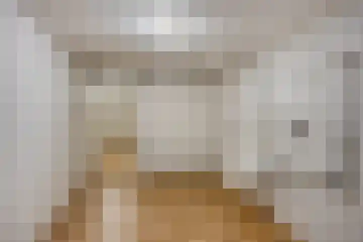 Laan van Eik en Duinen 244 Den Haag thumbnail 26