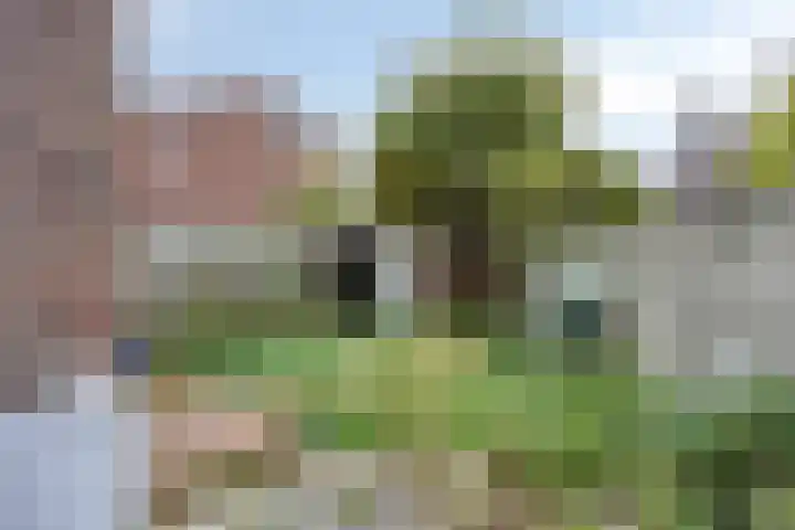 Laan van Eik en Duinen 244 Den Haag thumbnail 27