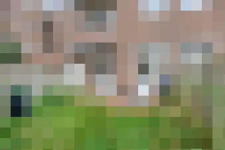 Laan van Eik en Duinen 244 Den Haag thumbnail 29