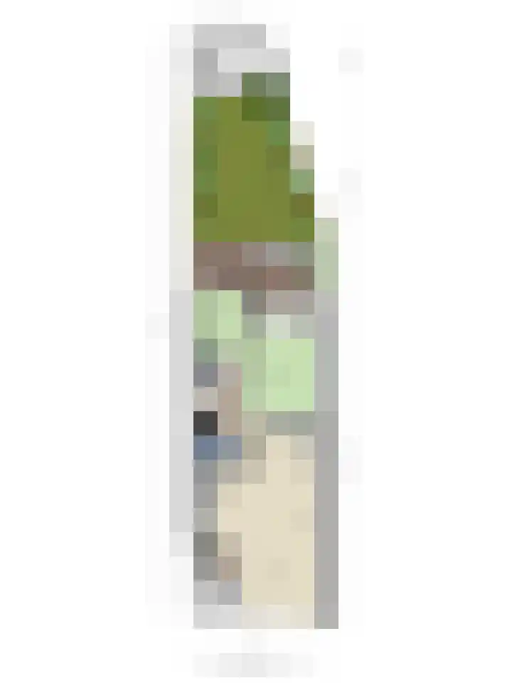Laan van Eik en Duinen 244 Den Haag thumbnail 31