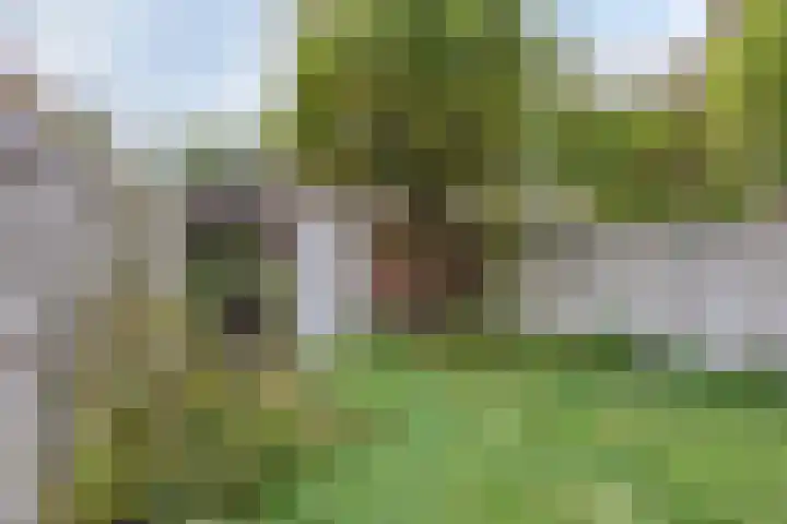 Laan van Eik en Duinen 244 Den Haag thumbnail 4