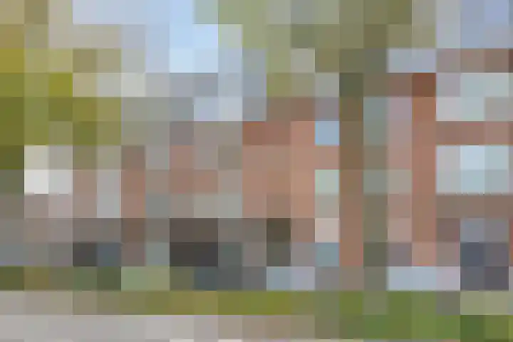Laan van Eik en Duinen 244 Den Haag thumbnail 6