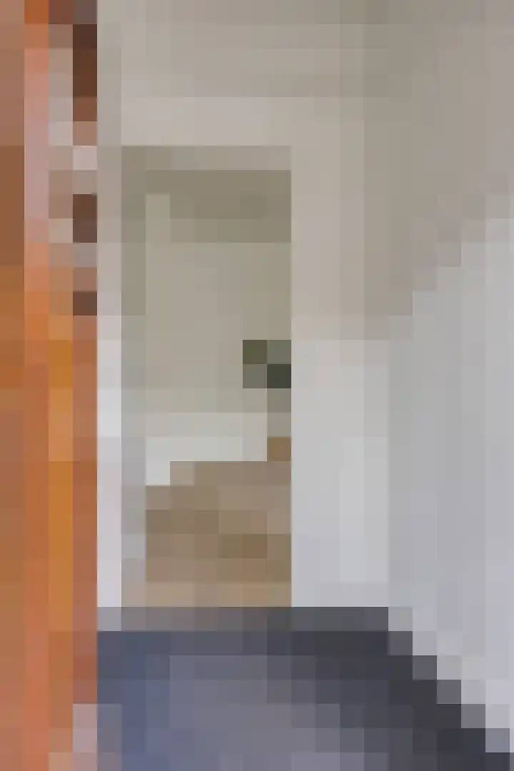 Laan van Eik en Duinen 244 Den Haag thumbnail 7