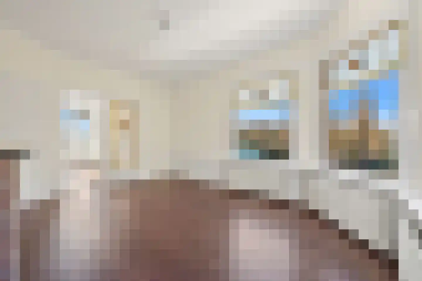 Laan van Eik en Duinen 32 Den Haag thumbnail 10