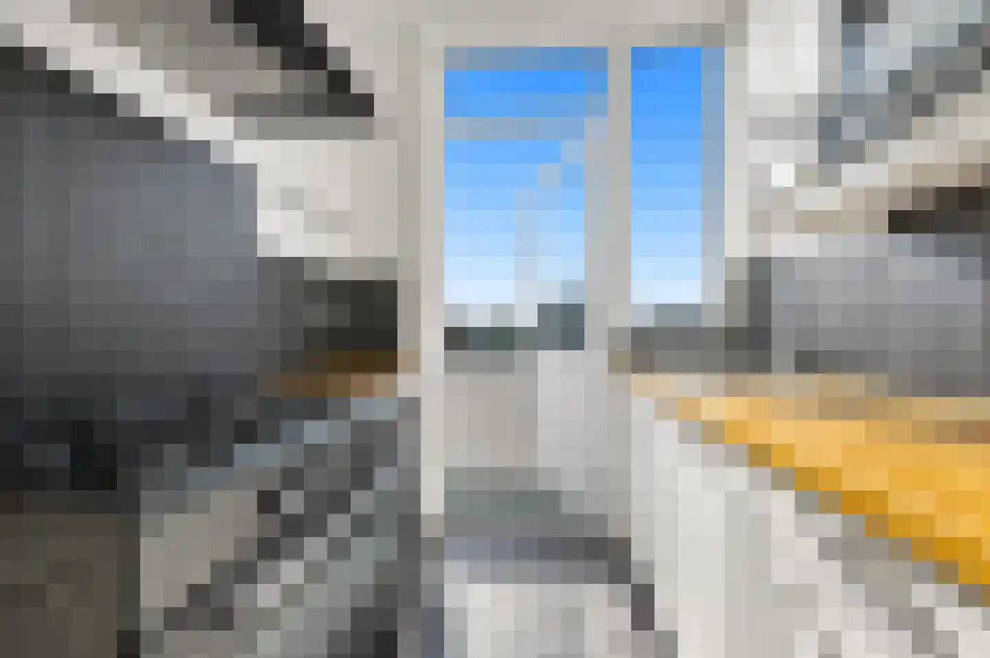 Laan van Eik en Duinen 32 Den Haag thumbnail 12