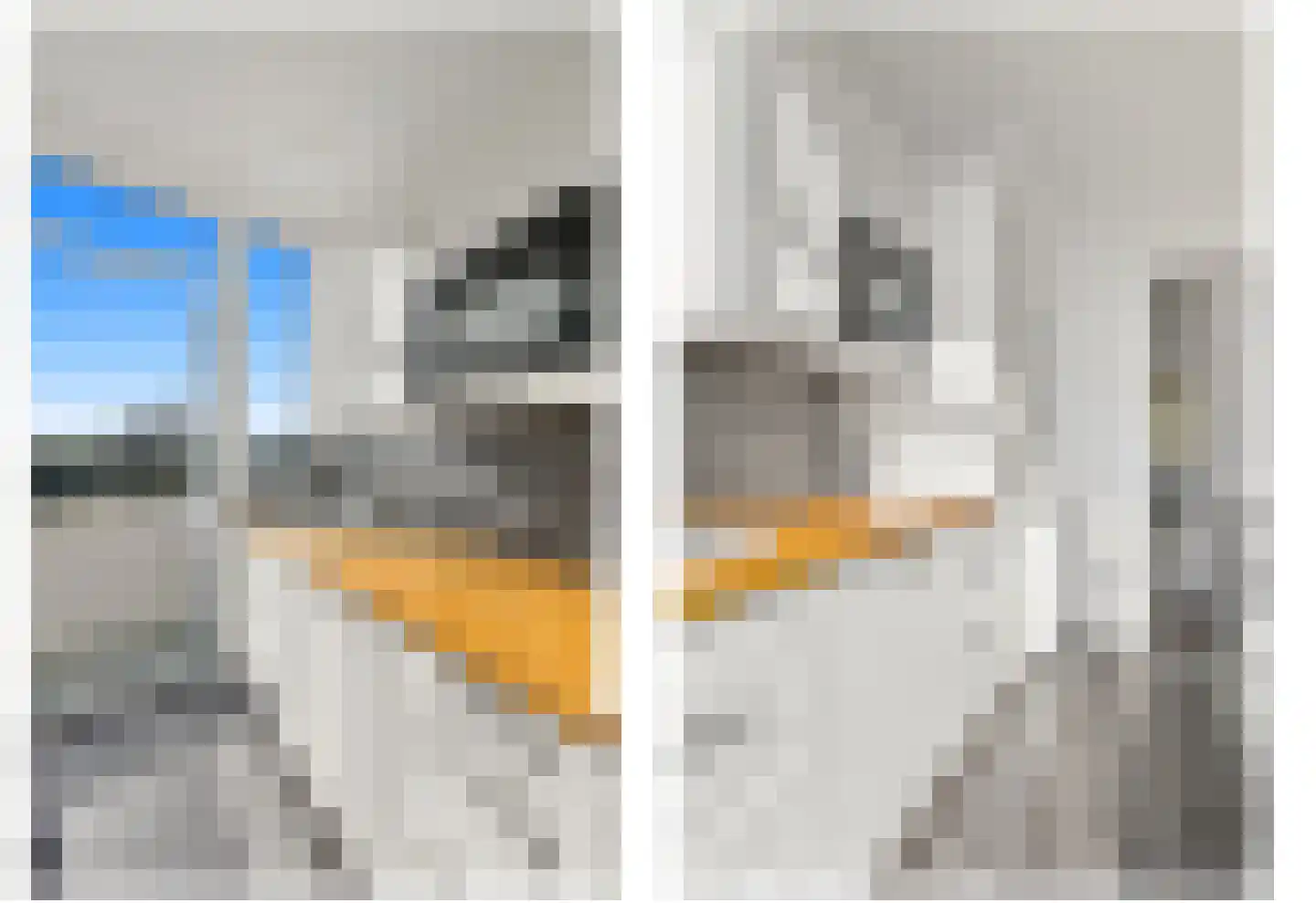 Laan van Eik en Duinen 32 Den Haag thumbnail 13