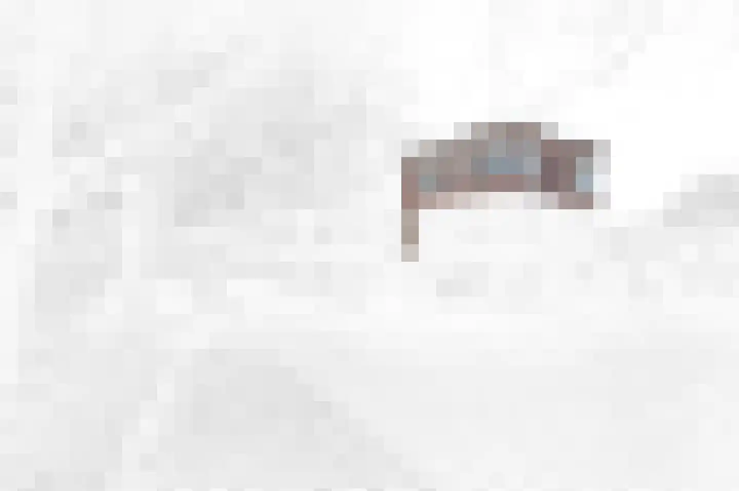 Laan van Eik en Duinen 32 Den Haag thumbnail 26