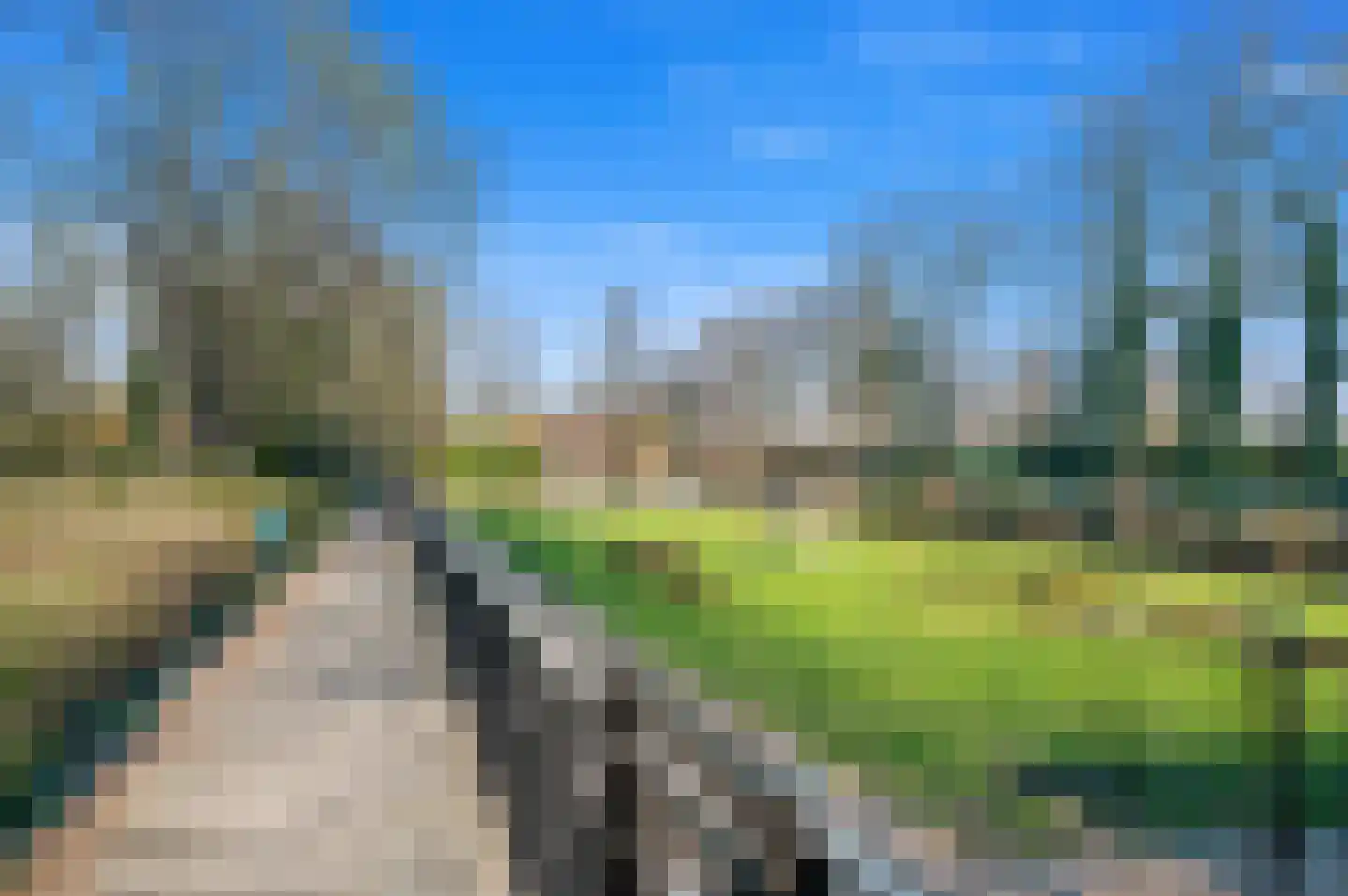 Laan van Eik en Duinen 32 Den Haag thumbnail 34