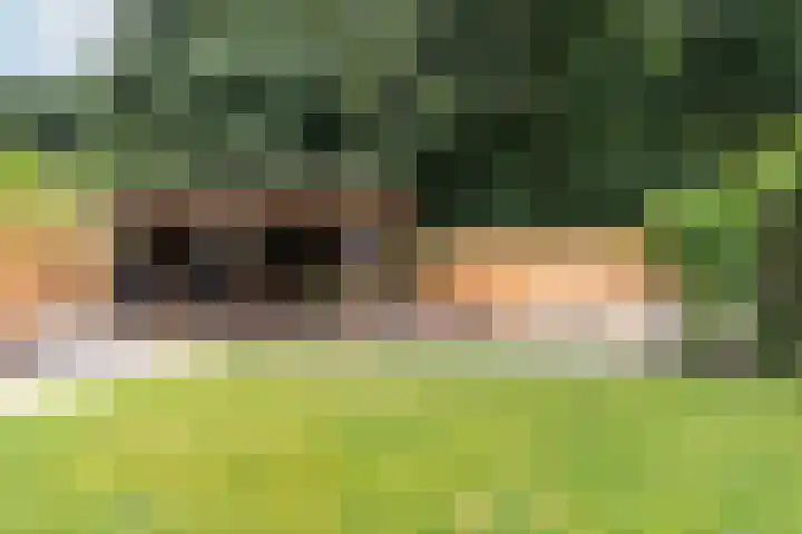 Laan van Eikenrode 25 Loosdrecht thumbnail 33