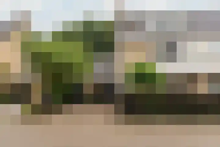 Laan van Eikenrode 25 Loosdrecht thumbnail 36
