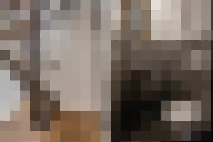 Laan van Eikenrode 25 Loosdrecht thumbnail 6
