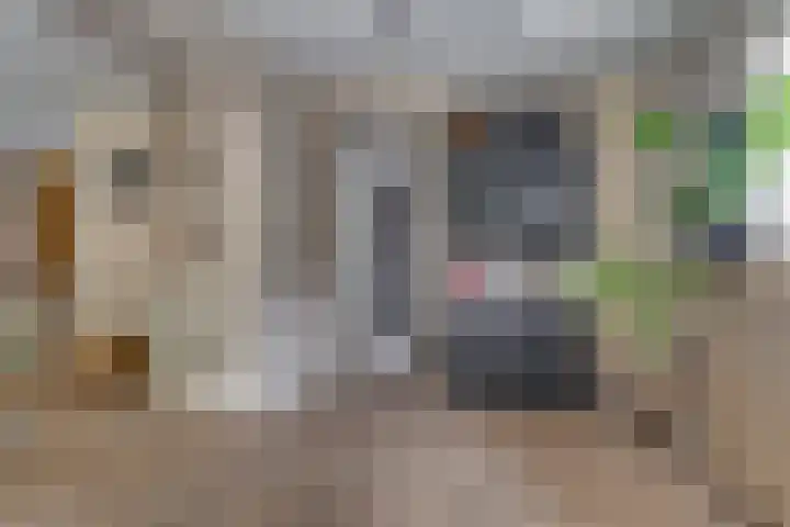 Laan van Eikenrode 25 Loosdrecht thumbnail 7