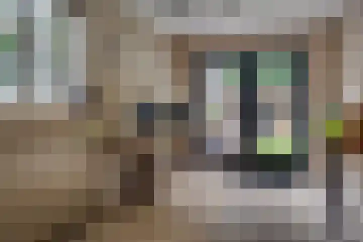 Laan van Eikenrode 25 Loosdrecht thumbnail 8