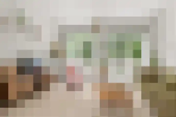 Laan van Engelswier 7 BS Utrecht thumbnail 11
