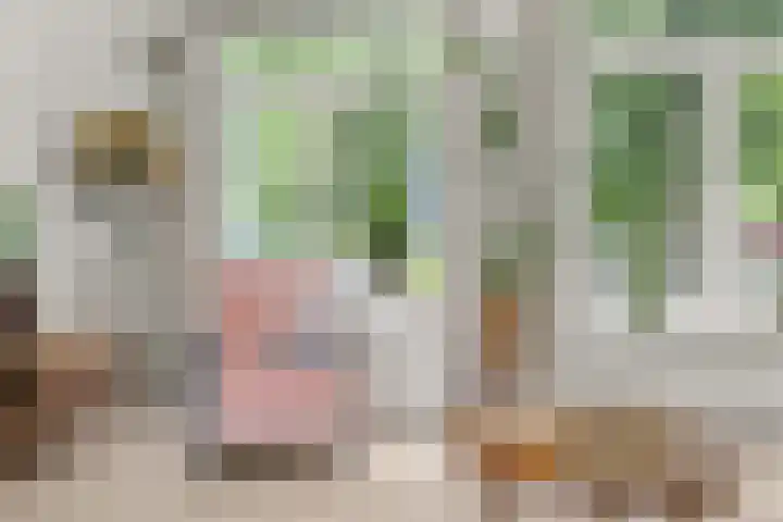 Laan van Engelswier 7 BS Utrecht thumbnail 13