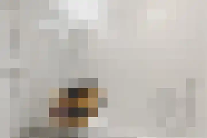 Laan van Engelswier 7 BS Utrecht thumbnail 34