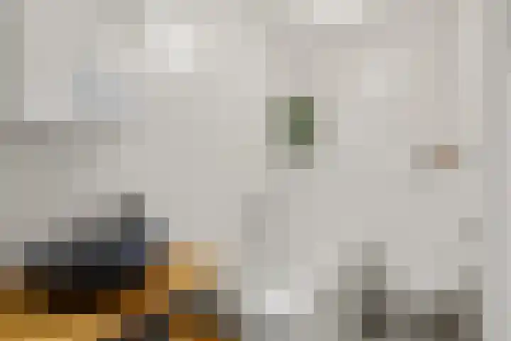 Laan van Engelswier 7 BS Utrecht thumbnail 36