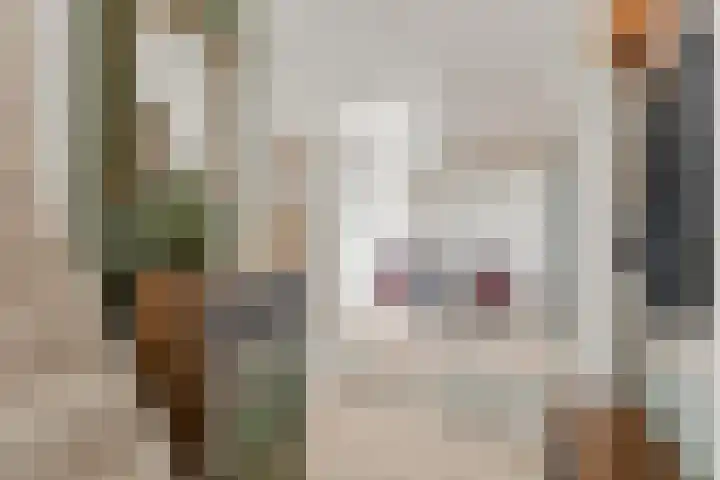Laan van Engelswier 7 BS Utrecht thumbnail 5