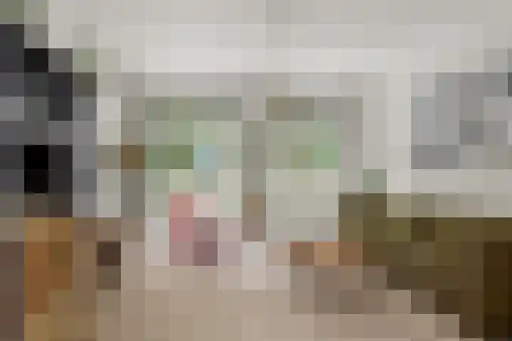 Laan van Engelswier 7 BS Utrecht thumbnail 9
