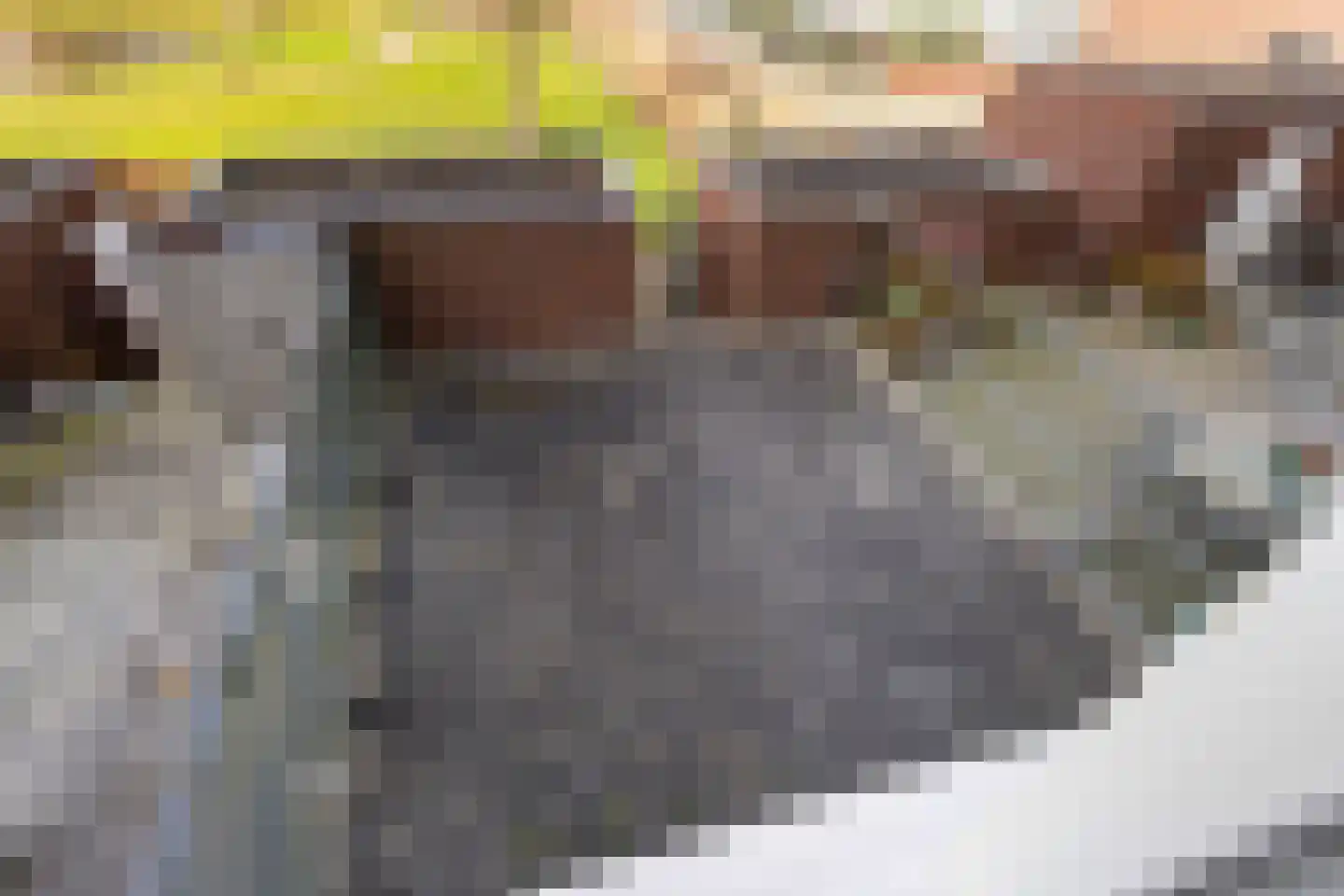 Laan van Europa 111 Roosendaal thumbnail 18