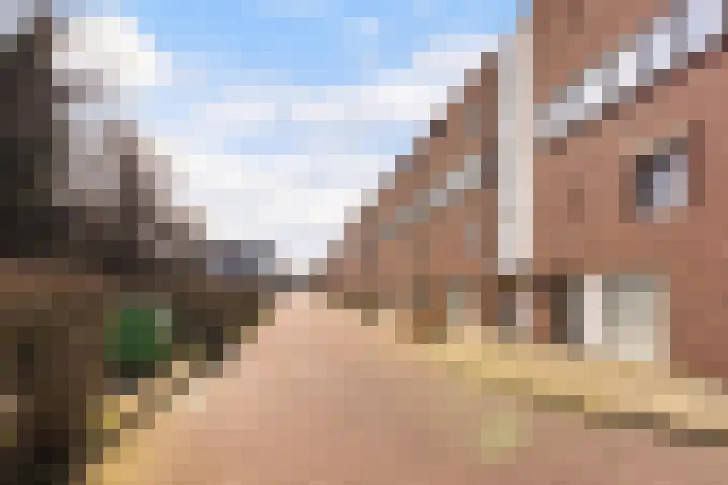 Laan van Europa 111 Roosendaal thumbnail 45
