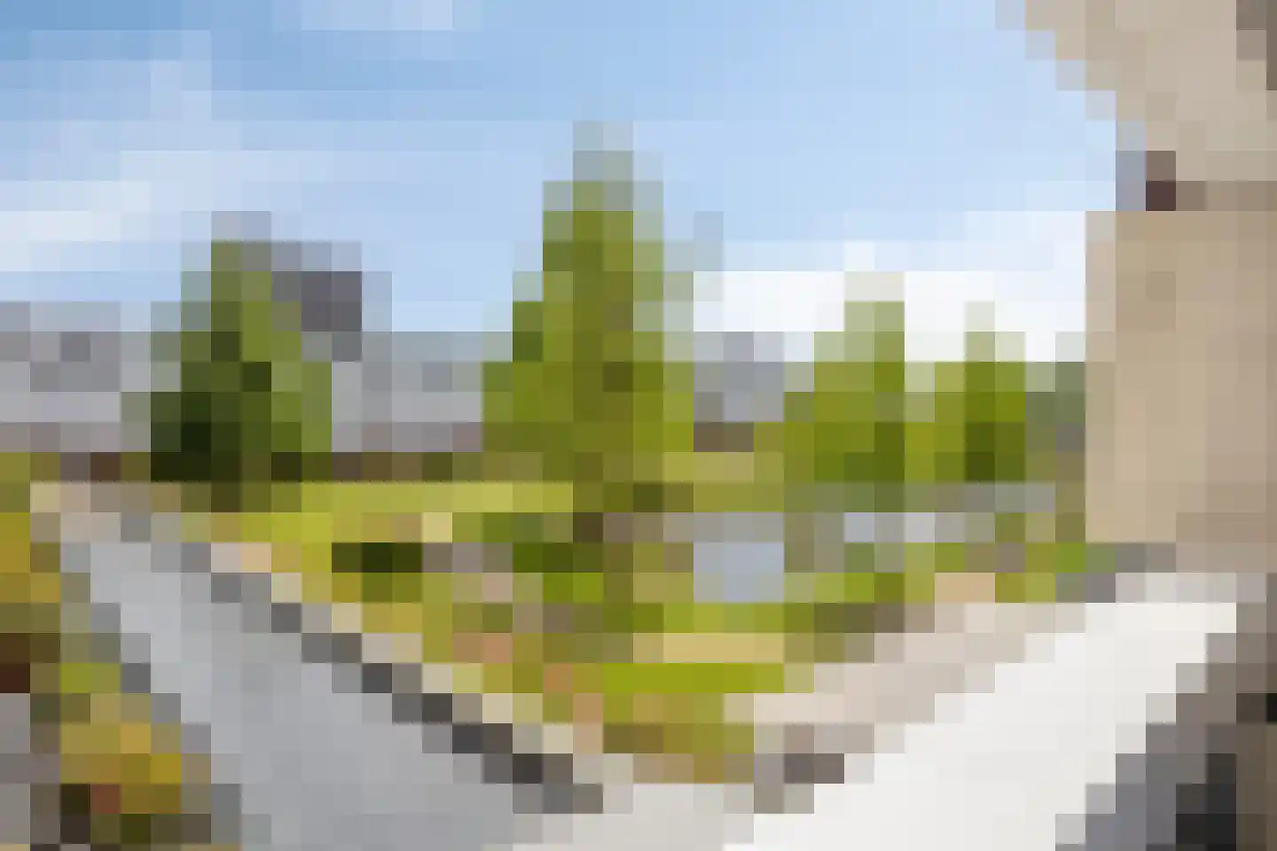 Laan van Europa 161 Roosendaal thumbnail 25