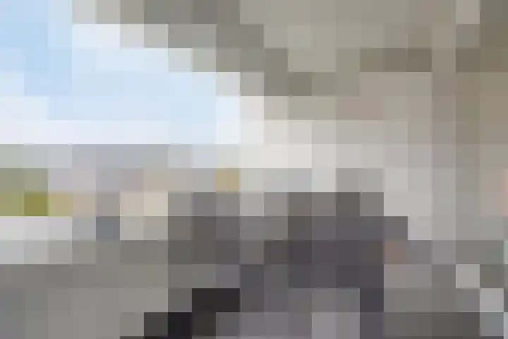 Laan van Europa 175 Roosendaal thumbnail 15